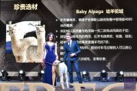 为爱回家 携爱同行 | 法国崔佧TRECA双节献礼