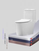 二十六年磨一剑 砺得梅花香