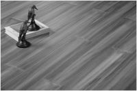 淡墨风尚——现代灰与番龙眼实木地板的结合