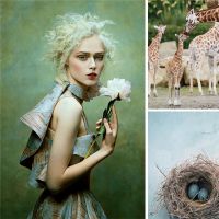 【领绣】法式与刺绣，两种浪漫的碰撞，拯救你平凡的家