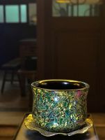 罗浮宫私享荟丨非遗犀贲漆美学课程，珍贵席位开放