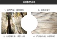 女排夺冠!喜梦宝也夺冠十大优选儿童家居品牌