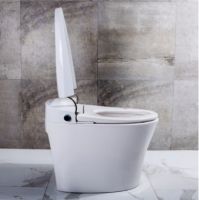 日丰卫浴智能马桶，为你开启健康如厕新体验