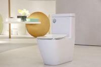 网易评测 | 抗菌超洁净冲洗，东鹏银漩坐便器藏着黑科技