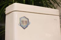 网易评测 | 抗菌超洁净冲洗，东鹏银漩坐便器藏着黑科技