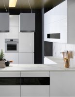 高端厨房电器库博仕吸油烟机： 你和生活艺术家之间的距离，只差TA