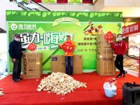 强力家具誉满京城，四店联动引爆十月家居风潮