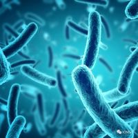 1分钟祛除链球菌99.8%-ION-Sei革新口腔光子仪分解口腔麻烦