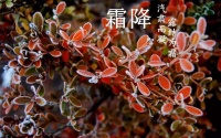 喜牧龙提醒您 霜降至 乍初冷 门窗保养需行动