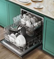 华帝嵌入式产品线总监孙宏：健康指数和使用体验是现阶段洗碗机用户最核心的关注