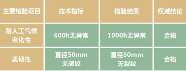 石艺又出新效果！一道批涂开启校园外墙新“颜”时代