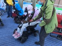 生命之歌蜂鸟代步通稿