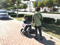 生命之歌蜂鸟代步通稿