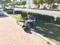 生命之歌蜂鸟代步通稿