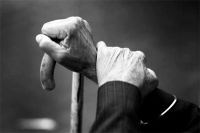 木本豆净康板丨不必走出家门，也能拥有诗和远方