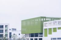 石艺又出新效果！一道批涂开启校园外墙新“颜”时代