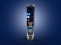 优品创高光,莱克电气荣获博世亚太区优秀供应商大奖