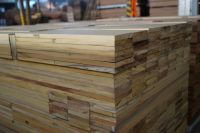 双稳定技术，大自然地板构筑健康家居生活