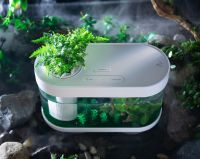 罗永浩推荐的首款智能鱼缸，画法几何C系Pro版，让养鱼变得更简单