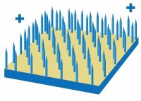 24小时自动长效抗菌！生活家地板新品“不怕脏”