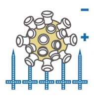 24小时自动长效抗菌！生活家地板新品“不怕脏”