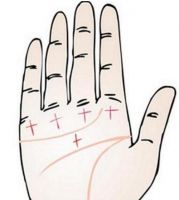 婚姻线有分叉的几种 如何看手相的婚姻线