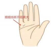 婚姻线有分叉的几种 如何看手相的婚姻线