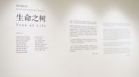 展讯 | 10月31日 “生命之树”国际摄影展即将登陆上海