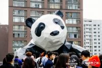 龙猫先森、芝华仕、顾家等七大家居品牌惊艳亮相天猫理想之城！