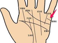 婚姻线怎么看几段姻缘 从婚姻线看何时结婚