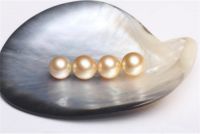 珍珠婚祝福语 珍珠婚可以送什么礼物