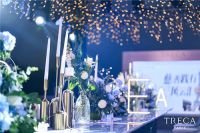 崔佧TRECA慈善晚宴在深圳慕思睡眠酒店成功举办