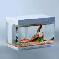 画法几何智能鱼缸斩获天猫2020新锐品牌排名第一，未来可期！