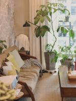 双十一拔草高品质4K投影仪 给生活放个假