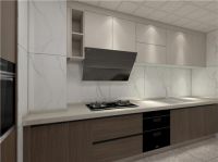 嵌入式厨具，让你享受家装快乐