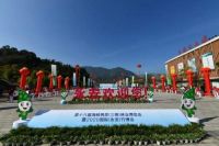 翠竹撑起绿色梦—2020国际（永安）竹博会成功举办