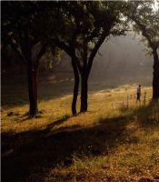 必美葡萄牙Corkart歌嘉软木地板，美国哥伦比亚号航天飞机同款软木