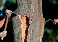 必美葡萄牙Corkart歌嘉软木地板，美国哥伦比亚号航天飞机同款软木