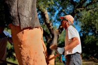 必美葡萄牙Corkart歌嘉软木地板，美国哥伦比亚号航天飞机同款软木