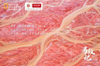 寻纹记丨诺贝尔瓷砖追寻极致纹理，将大自然所有美送进你的家