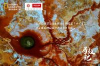 寻纹记丨诺贝尔瓷砖追寻极致纹理，将大自然所有美送进你的家