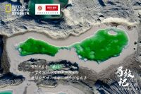 寻纹记丨诺贝尔瓷砖追寻极致纹理，将大自然所有美送进你的家