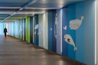 案例分享|在地下的“彩虹”