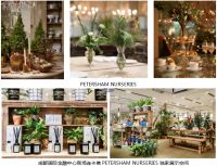 悠谧奇境 连卡佛庆祝圣诞佳节 特别呈现精彩体验及甄选佳品