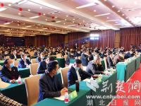 2020中国绿色家居产业发展峰会在荆门东宝举行