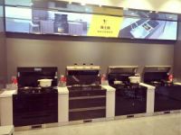 雅士林集成灶王建：用好产品赢得好口碑