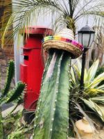 川蜀记|品历史文化底蕴 与自然真实的设计对话