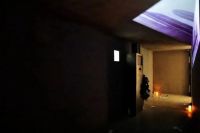 2020双流陈设艺术展：一场由中国造园美学家王东策划的展览