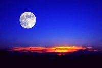 祝夫妻长久幸福的诗词有哪些 夫妻恩爱幸福的句子有哪些