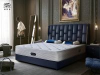 新店震撼启航——美国席梦思LANCER DREAM强势拓展国内市场版图